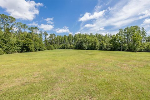 Land in Odessa, Florida № 2152354 - photo 28
