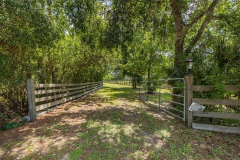 Land in Odessa, Florida № 2152354 - photo 3
