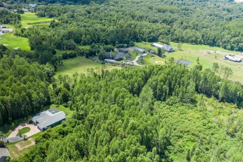 Land in Odessa, Florida № 2152354 - photo 14