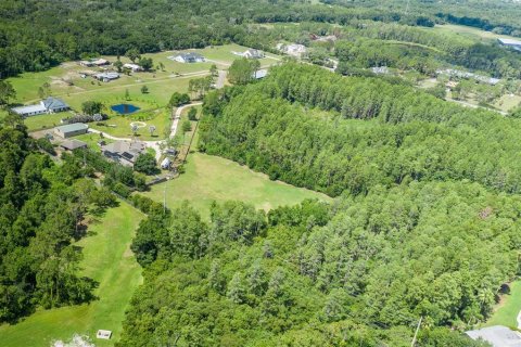 Land in Odessa, Florida № 2152354 - photo 20