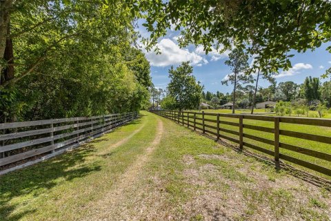 Land in Odessa, Florida № 2152354 - photo 18