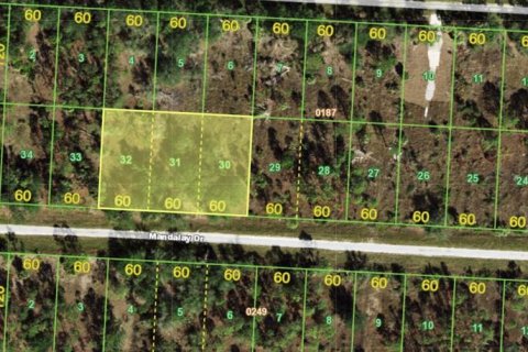 Land in Punta Gorda, Florida № 2162798 - photo 2
