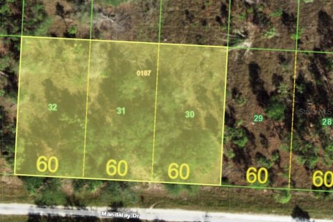 Terrain à Punta Gorda, Floride № 2162798