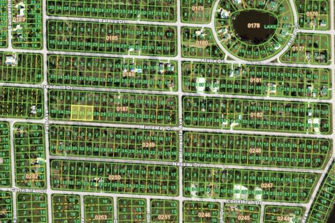 Land in Punta Gorda, Florida № 2162798 - photo 3