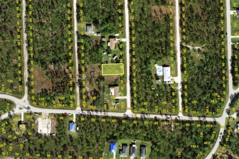 Land in Punta Gorda, Florida № 2198211 - photo 2