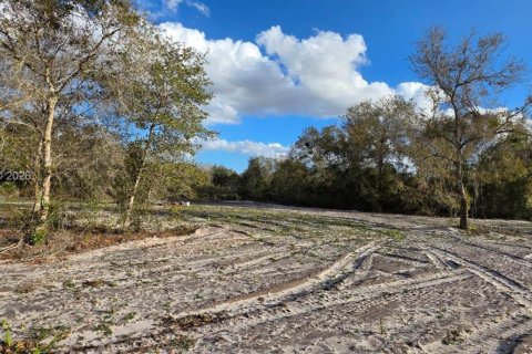 Land in Okeechobee, Florida № 2158567 - photo 4