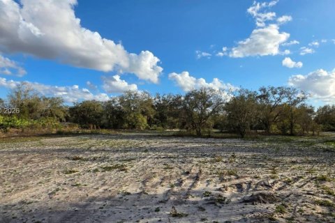 Land in Okeechobee, Florida № 2158567 - photo 12