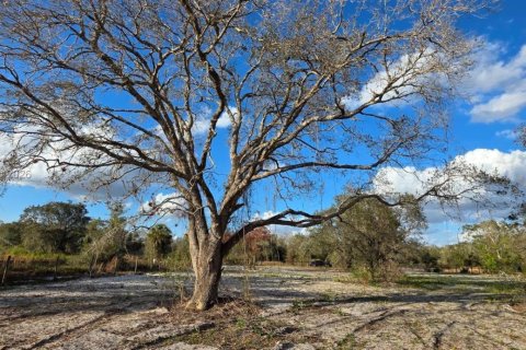 Land in Okeechobee, Florida № 2158567 - photo 10