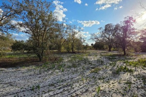 Land in Okeechobee, Florida № 2158567 - photo 3