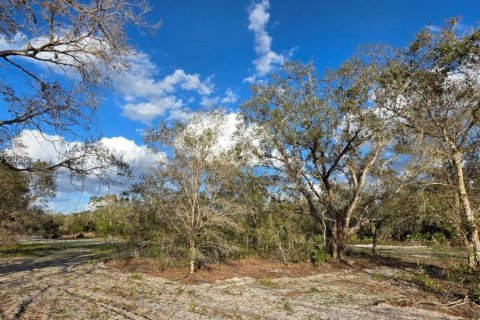 Land in Okeechobee, Florida № 2158567 - photo 6