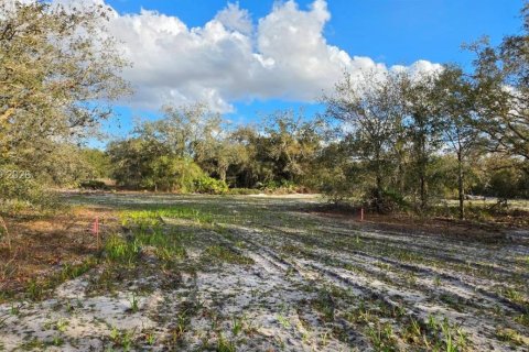 Land in Okeechobee, Florida № 2158567 - photo 13