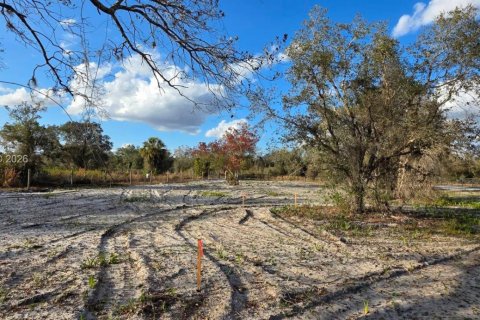 Land in Okeechobee, Florida № 2158567 - photo 5