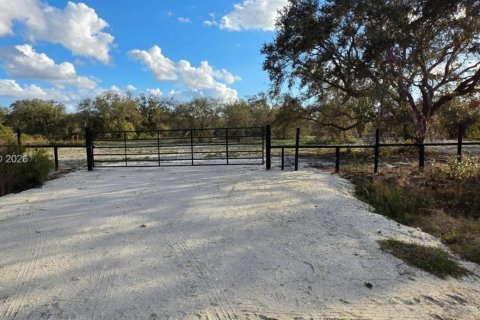 Land in Okeechobee, Florida № 2158567