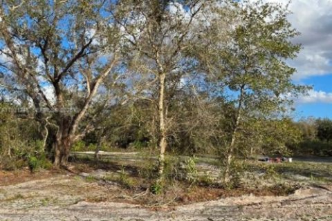 Land in Okeechobee, Florida № 2158567 - photo 11