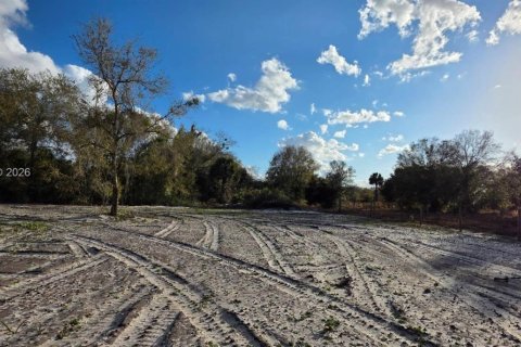 Land in Okeechobee, Florida № 2158567 - photo 9