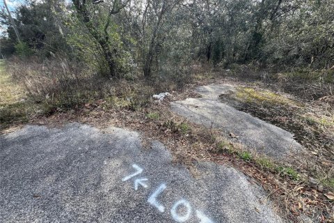 Land in Hudson, Florida № 2353181