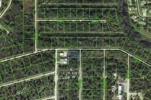 Land in Lake Placid, Florida № 2162617