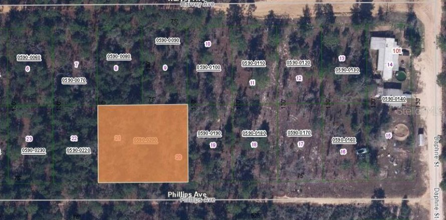 Land in Interlachen, Florida № 2161905