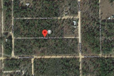 Land in Interlachen, Florida № 2161905 - photo 2