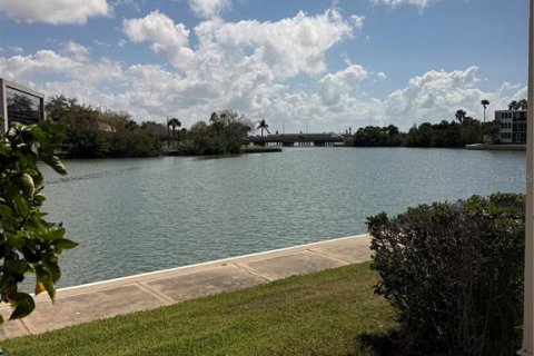 Condo in South Pasadena, Florida, 2 bedrooms № 2213676 - photo 22