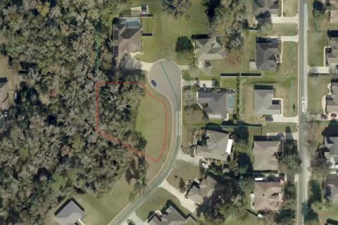 Land in Belleview, Florida № 2205050