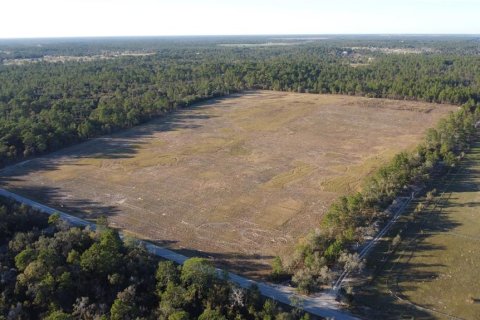 Land in Morriston, Florida № 2155315 - photo 2