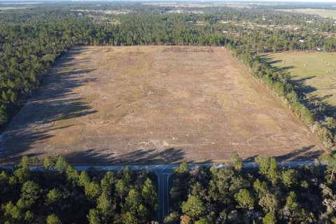 Land in Morriston, Florida № 2155315