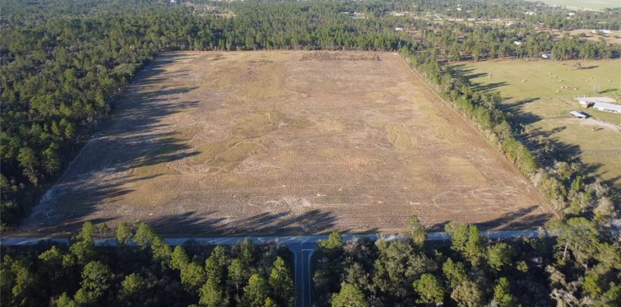 Land in Morriston, Florida № 2155315