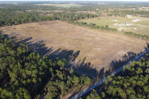 Land in Morriston, Florida № 2155315 - photo 3