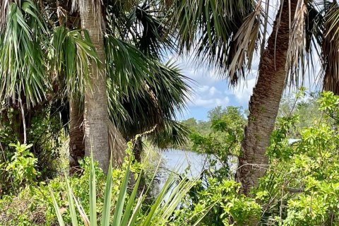 Land in Port Charlotte, Florida № 1681485 - photo 2