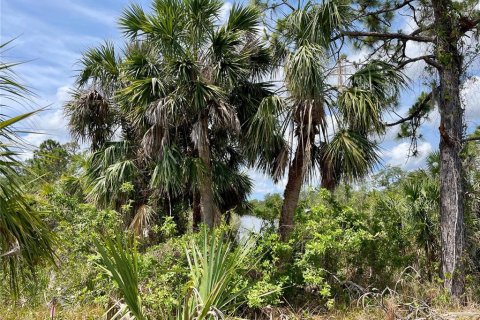 Land in Port Charlotte, Florida № 1681485 - photo 15