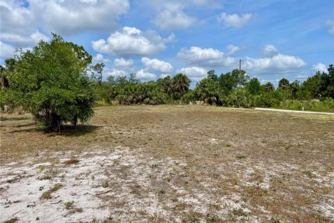 Land in Port Charlotte, Florida № 1681485 - photo 14