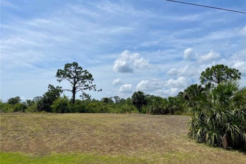 Land in Port Charlotte, Florida № 1681485 - photo 4