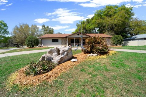 Villa ou maison à vendre à Inverness, Floride: 3 chambres, 158.86 m2 № 2142221 - photo 16