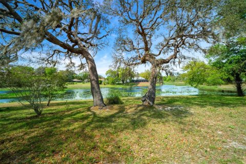 Villa ou maison à vendre à Inverness, Floride: 3 chambres, 158.86 m2 № 2142221 - photo 30