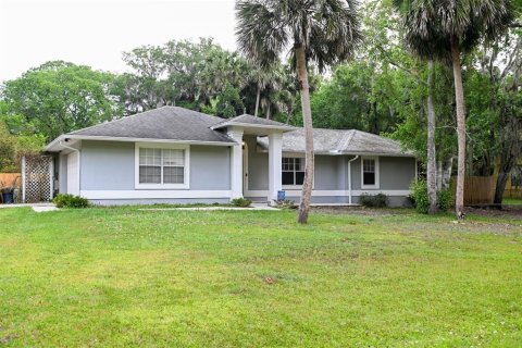 Villa ou maison à vendre à Deltona, Floride: 4 chambres, 173.26 m2 № 1684602 - photo 1