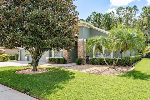 House in Odessa, Florida 5 bedrooms, 332.31 sq.m. № 1837916 - photo 3