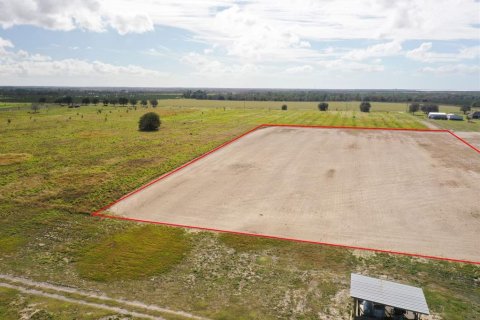 Land in Fort Meade, Florida № 1386526 - photo 1