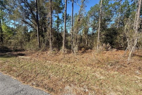 Terrain à vendre à Dunnellon, Floride № 2227964 - photo 3