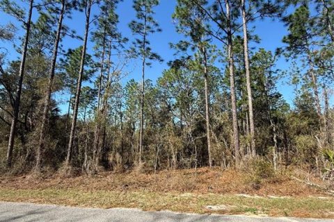Terrain à vendre à Dunnellon, Floride № 2227964 - photo 4