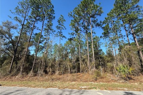 Terrain à vendre à Dunnellon, Floride № 2227964 - photo 5