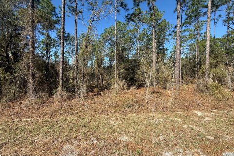 Terrain à Dunnellon, Floride № 2227964