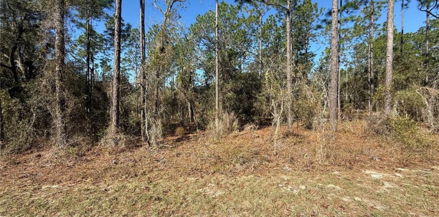 Terrain à Dunnellon, Floride № 2227964