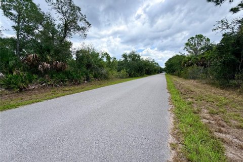Land in Port Charlotte, Florida № 2233438 - photo 3