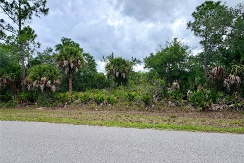 Land in Port Charlotte, Florida № 2233438 - photo 5