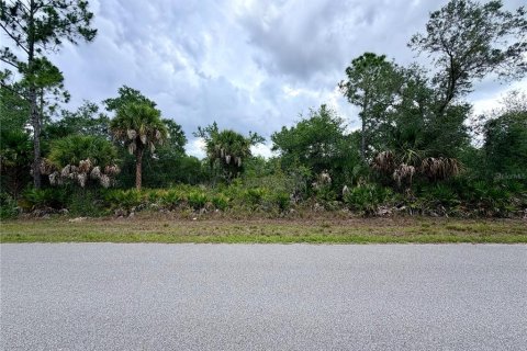 Land in Port Charlotte, Florida № 2233438
