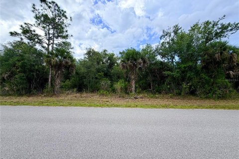 Land in Port Charlotte, Florida № 2233438 - photo 2