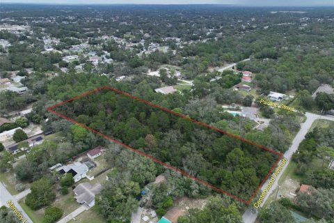 Land in Spring Hill, Florida № 2211876