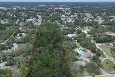 Land in Spring Hill, Florida № 2211876 - photo 3