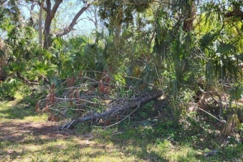 Terreno en venta en North Port, Florida № 1609176 - foto 2